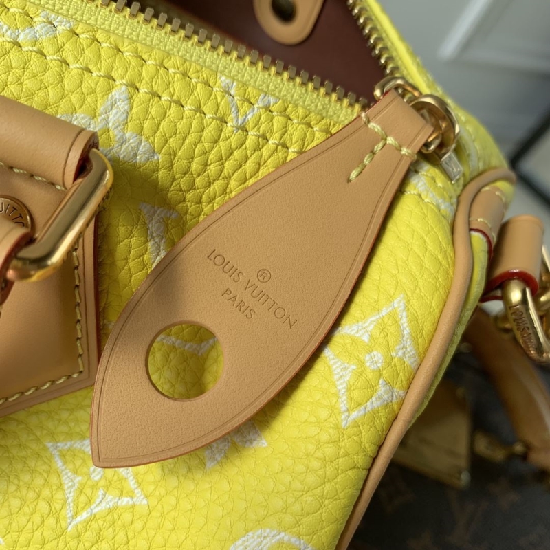 LV Travel Bags